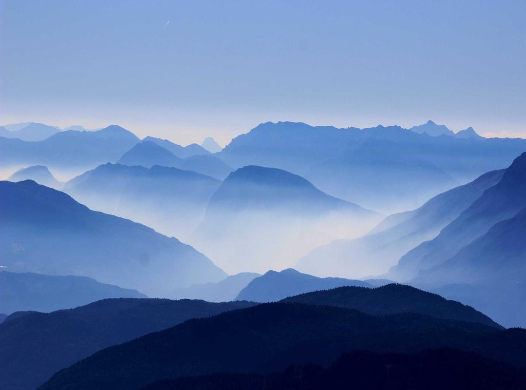 From Bark to Battlegear: Crafting with Anima-Infused Bark