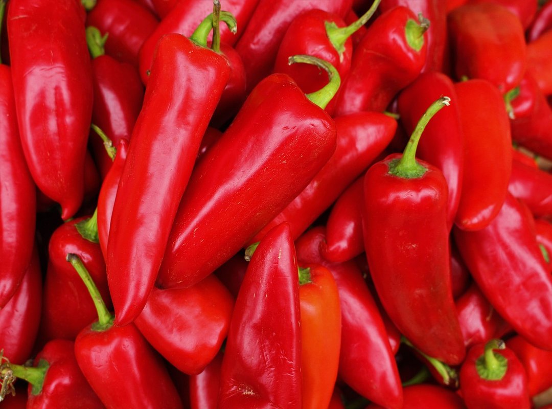 What is the Show 'Elo Picante' Actually About?