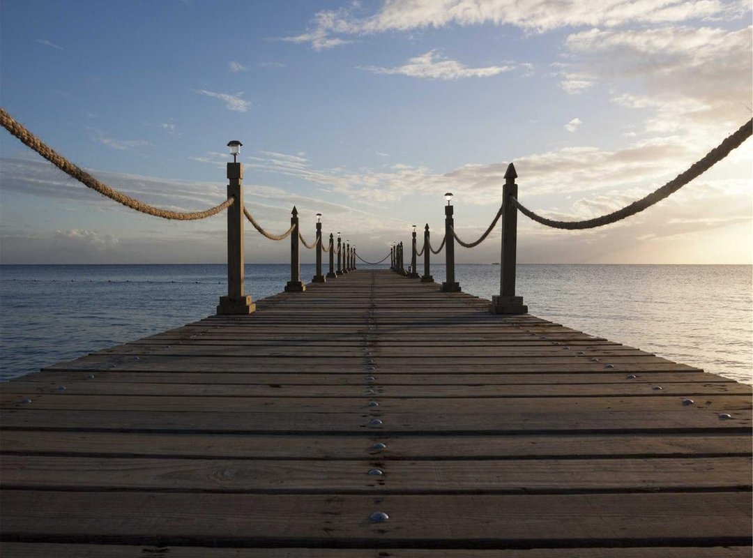 Eat Your Way to Better Arms: The Nutrition Factor