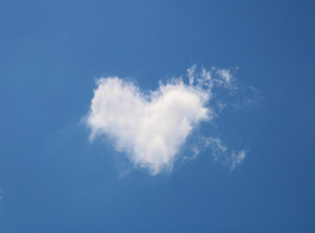 Finding a Glimmer of Connection, Even When You Feel Alone